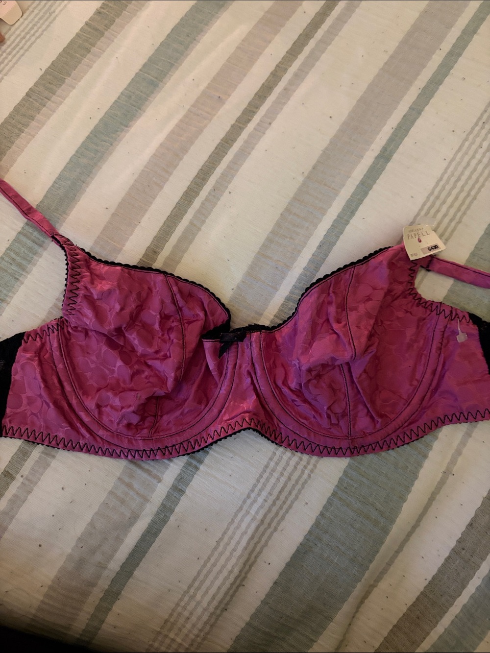Adrianna Papell Fuchsia and Black Underwire Bra